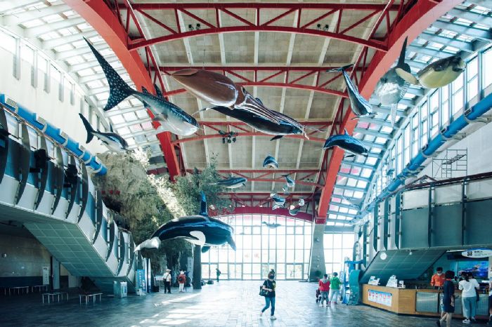 兒童連假玩翻屏東！一到三日動感遊程，開啟春日冒險模式